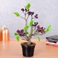 thumbnail image 1 of Árbol de Bonsai Artificial Colco en Decoración de árboles Hogar Jardín Oficina Árbol frutal falso, 1 of 8