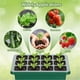 thumbnail image 4 of Kit de cultivo de plantas con luz LED para crecimiento | 5 bandejas para iniciar semillas con domos ajustables de humedad | Material transparente libre de BPA | Orificios de drenaje | Para, 4 of 9