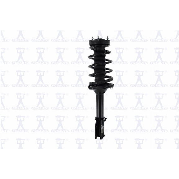 Suspension Strut and Coil Spring Assembly