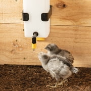 Premier Chicken Nipple Waterer with Wall Bracket (White)