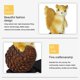 thumbnail image 4 of Solar Lights, Outdoor Waterproof Solar Powered LED Squirrel Animal Decorative Lamps, Garden Courtyard Landscape Lighting Stakes,A, 4 of 5