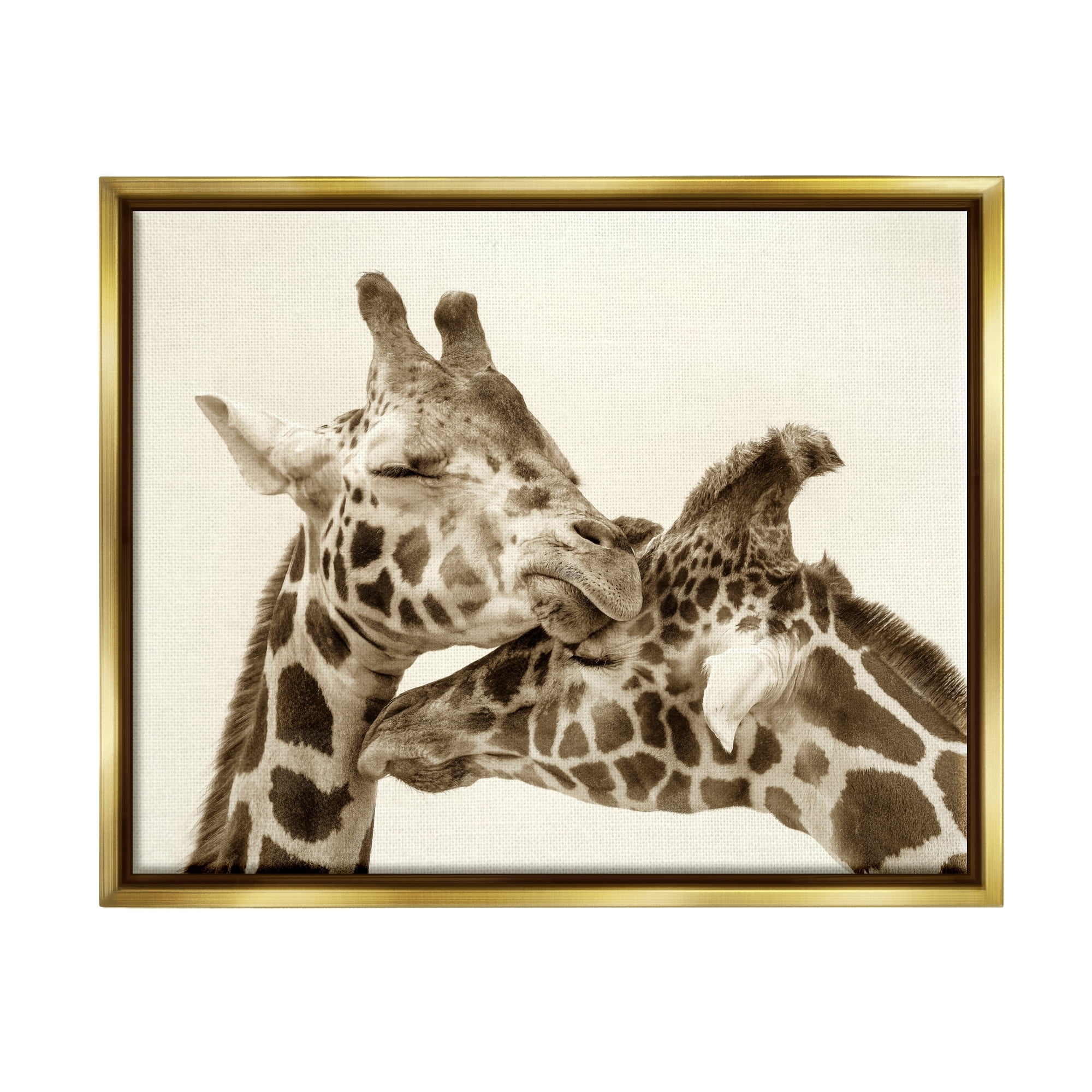 Stupell Industries Sweet Cuddling Giraffes Sepia Wildlife Photography Portrait Photograph Metallic Gold Floating Framed Canvas Print Wall Art, Design by Carrie Ann Grippo-Pike