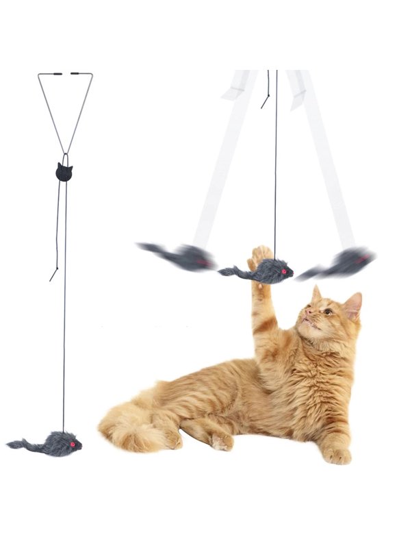 Teaser Cat Toys in Cat Toys