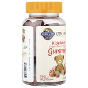 Garden of Life Organics Kids Gummy Multi, 120 Organic Fruit Chews