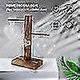 thumbnail image 3 of Glass Tube Vase D Glass Vase S Hydroponic Plants H Des, 3 of 5