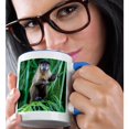 thumbnail image 2 of 3drose, Brazil, Mato Grosso Do Sul, Bonito. Brown Capuchin Monkey in Tree, 15oz Two-tone Blue Mug, 2 of 6