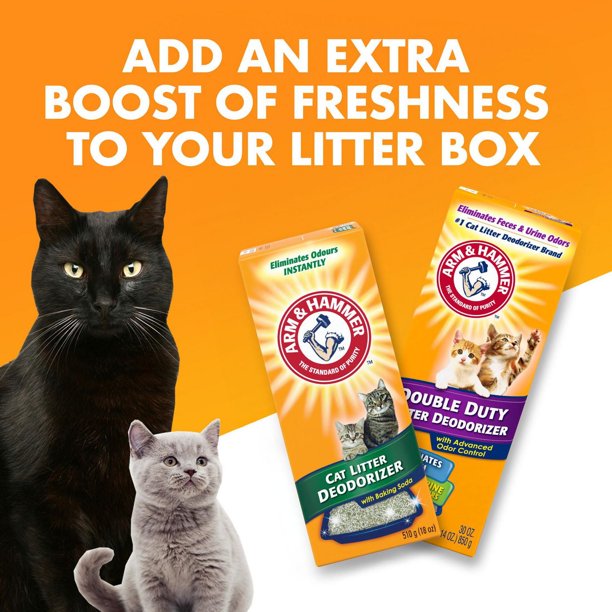 How to Deodorize Cat Litter: Easy Tips for Freshness Daily
