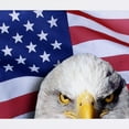 thumbnail image 2 of CafePress - Bald Eagle Over American Flag Mousepad - Non-slip Rubber Mousepad, Gaming Mouse Pad, 2 of 3