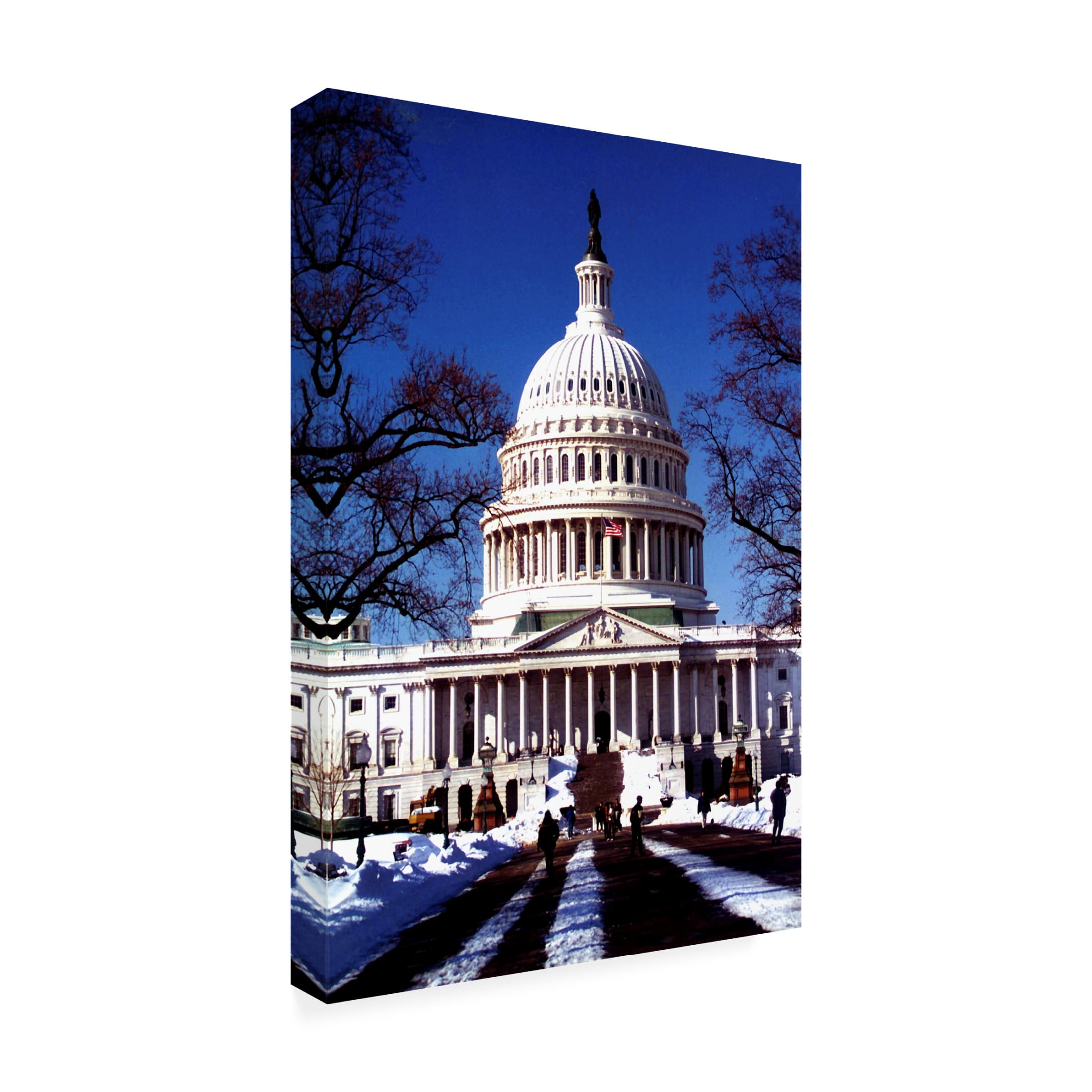Canvas Wall Art - DANE 'Washington DC 39' Wall Art for Living Room, Bedroom, or Office Décor by Trademark Fine Art - 22 x 32 Inches