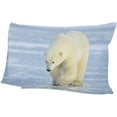 thumbnail image 6 of Polar Bear Walking Velvet Oblong Lumbar Plush Throw Pillow Cover/Shams Cushion Case - 20x36in - Decorative Invisible Zipper Design for Couch Sofa Pillowcase Only, 6 of 7