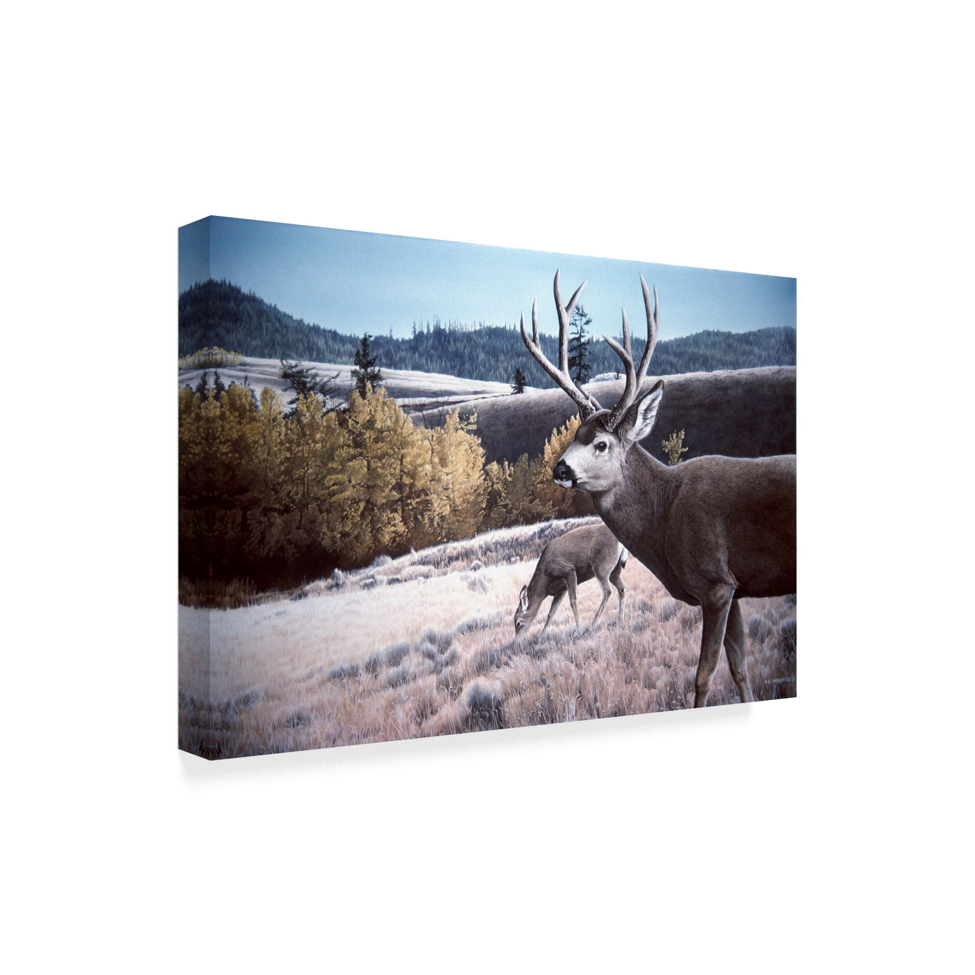 Trademark Fine Art 'Mule Deer In Aspen' Canvas Art by Ron Parker