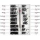 thumbnail image 2 of Tornillo de 500 piezas, Micro tornillo, Tornillo pequeño negro, Tornillos de acero al carbono, 11 kaili Sencillez, 2 of 4