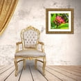 thumbnail image 3 of Perry, William 29x26 Gold Ornate Wood Framed with Double Matting Museum Art Print Titled - Frangipani Plumeria-Moorea-Tahiti-French Polynesia, 3 of 4