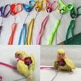 thumbnail image 5 of AAOMASSR Adjustable Feather Tether Bird Harness and Leash for Parrot Medium to Large Breed Parrots Parrot Bird Leash Outdoor Harness Training Rope Bird Supplies(Random Color), 5 of 5