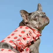 Oodles Summer Strawberries Dog Bikini, Pink, Small
