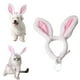 thumbnail image 5 of Diadema con orejas de conejo para mascotas, disfraz de cosplay para perros, gatos y cachorros, accesorio para el pelo para fiesta de Halloween, talla S, 5 of 7