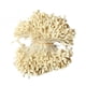 thumbnail image 1 of Paquete de 1400 piezas de resina para flores, ideal para manualidades y proyectos de bricolaje. Crema, 1 of 7