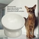 thumbnail image 3 of Cuencos Elevados De Cerámica Para Gatos, Cuencos De Agua Elevados Inclinados Para Proteger A Las Mascotas A Prueba De Deslizamiento Cervical Para Suministros Para Gatos, 3 of 7