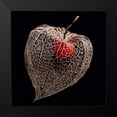 thumbnail image 2 of Weber, Matthias 20x20 Black Modern Framed Museum Art Print Titled - Lantern Heart I, 2 of 5