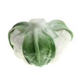 thumbnail image 4 of Artificial ista comida decoración vegetal accesorios modelo jugar juguete blanco Zulema Vegetal de comida artificial, 4 of 8