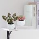 thumbnail image 4 of 2 uds. Bonsái de diamante grande, simulación de bonsái suculento, flor artificial, planta decorativa creativa, decoración interior, 4 of 5