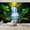 Color 4, variant on Wallpaper Tropical Rainforest Sunlight Dense Green Jungle foliage Peel and Stick Wall Murals 100"H x 144"W Removable PVC Wall Paper Self-Adhesive Wall Paintings Art Decor for Bedroom Living Room