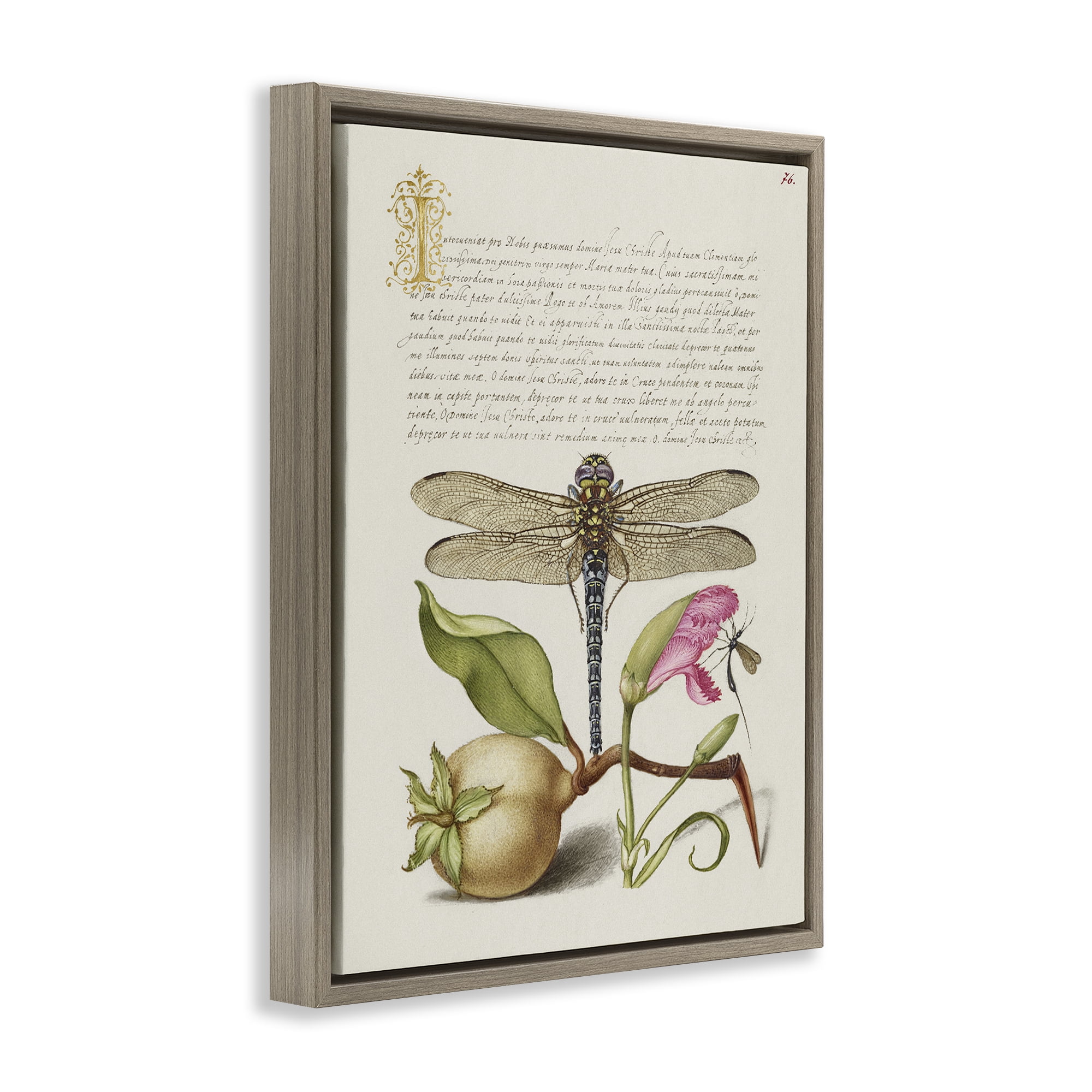 Stupell Industries Vintage Dragonfly & Plants Text & Numbers Painting Brown Floater Framed Canvas Art Print Wall Art, 25 x 31