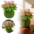 thumbnail image 1 of BotaniNest Indoor Outdoor Desktop Greenery For Home, 1 of 5