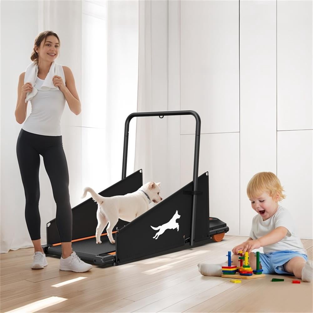 Pemberley Row Metal Orange Pet Exercise Treadmill Rectangular Shock Absorption