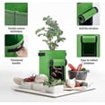 thumbnail image 5 of Potato , 5-pack 10 Gallon Vegetable Growing Plant Bags With Viewing, 5 of 5