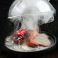 thumbnail image 2 of Wovilon Smoked Molecular Cuisine Kitchen Hotel Tail Steak Salmon Smoked Machine Transparent Cover, 2 of 5