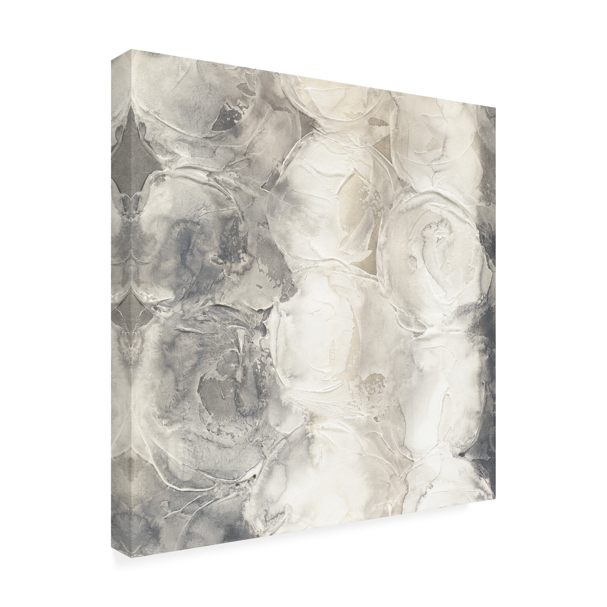 Chris Paschke 'Gray Circles I' Canvas Art