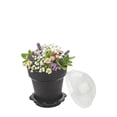 thumbnail image 4 of Mini Serve 6 oz Black Plastic Mini Flower Pot Cup - with Lid - 3" x 3" x 3" - 100 count box, 4 of 6