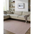 thumbnail image 2 of BoutiqueRugs Breena Traditional, Transitional Area Rug - Machine Washable - Blush - 27" x 45", 2 of 6