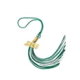 thumbnail image 3 of 2Pcs 2026 Graduation Tassel, 2026 Tassel Graduation, Academic Graduations Cap Tassels 2026S Tassels With Year Gold Date Charms For Grads, Graduates Graduations Cap Hat Decorations, Red White, 3 of 6