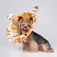 thumbnail image 3 of Flmtop Pets Circle Sunflower Design Anti-licking Polyester Protective Cats Collar for Kitten, 3 of 9