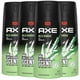 thumbnail image 1 of Desodorante corporal AXE Wild Bamboo para hombre, 120 ml, 48 horas, 1 of 1