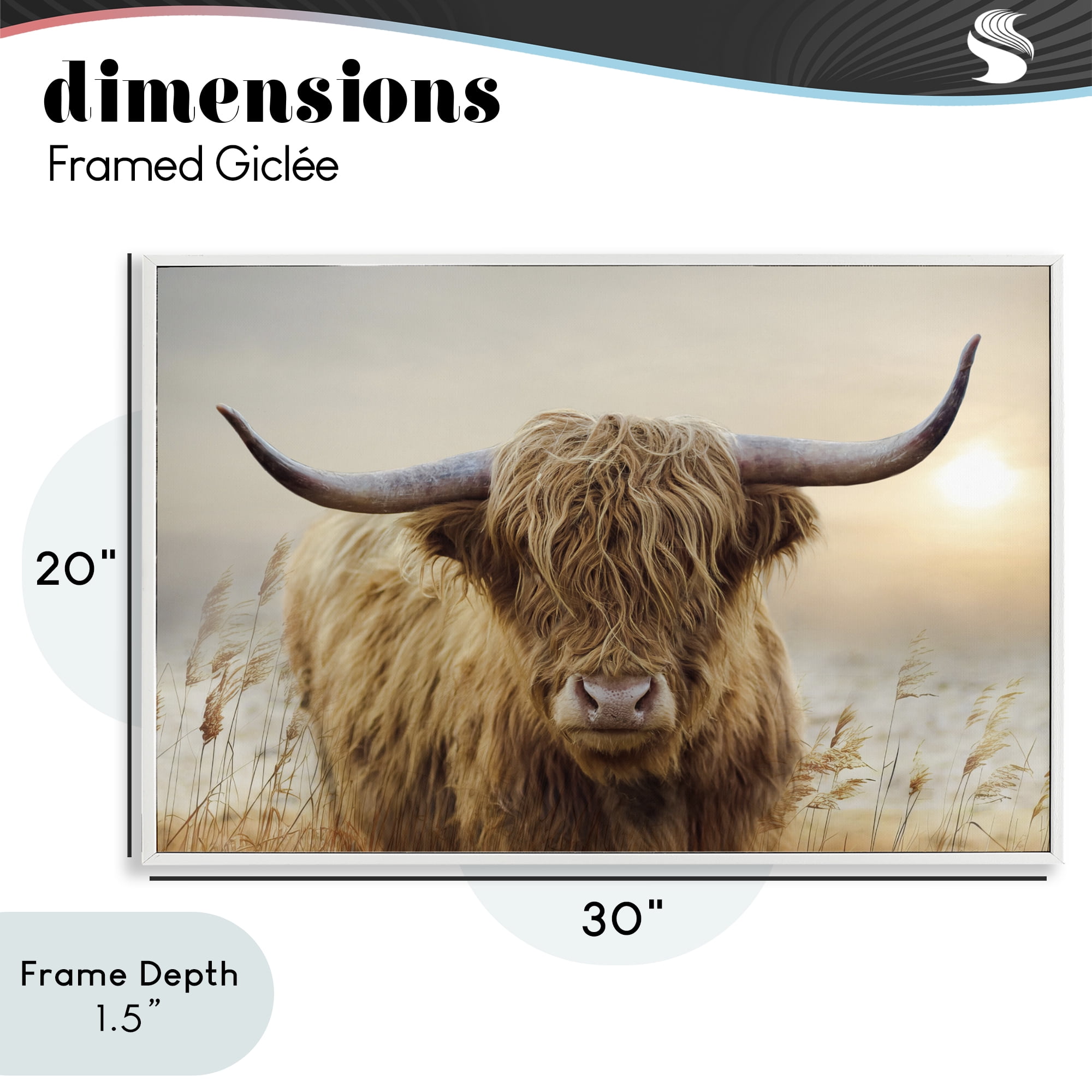 Stupell Industries Highland Cow & Warm Sunset White Framed Giclee Art, design by CAD Designs