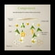 thumbnail image 5 of Cuna de Sonajero Cama Campana Juguetes Forma de Animales de Abeja Cuna ReciéN Nacido Sonajero MóVil Bolas de Lana Cuentas Campana de Cama para, 5 of 6