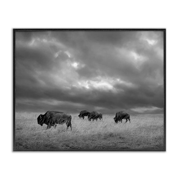 Stupell Industries Rustic Lodge Bison in Cloudy Field Black Framed Giclee Art, 30 x 24, by Steve Toole