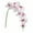 Pink, variant on Binwennn Flowers Orchid 1 Pc Real Double Branch Silk Flowers For Wedding Home Party Hotel Yard Decoration Restaurant Patio Festive Furnishing Vase Flowers Tall Wreath Flowers Flower Arrangements in