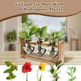 thumbnail image 4 of 1Pc Wooden Plant Terrarium Propagation Station with 3 Heart Shaped Vases, Hydroponics Bulb Desktop Glass Vase for Home Office Decor Gift, 4 of 8