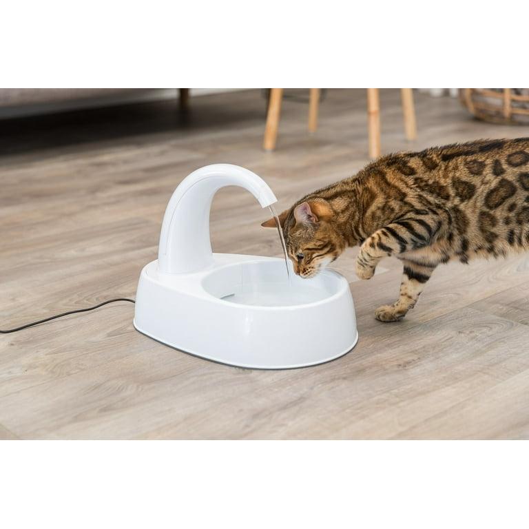 Chewy pet water fountain sales