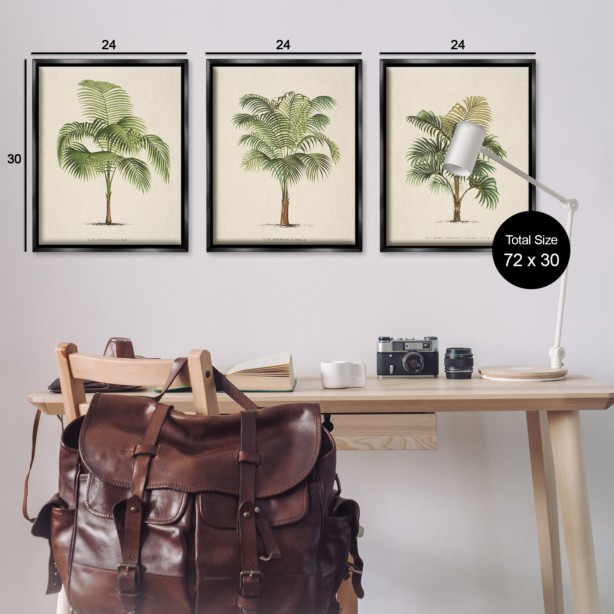 Stupell Industries Les Palmiers Botanical Trio Botanical & Floral Painting Black Floater Framed Canvas Art Print Wall Art, 25 x 31, Set of 3