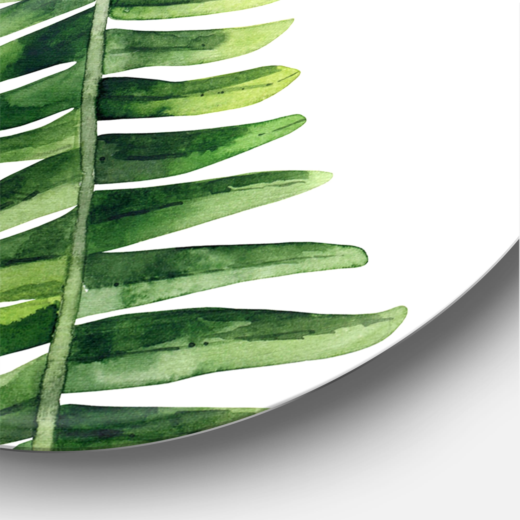 Designart 'Fern Plant Leaves Detail IV' Farmhouse Circle Metal Wall Art 23x23 - Disc of 23