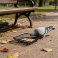 thumbnail image 5 of Square Metal Mesh Bird Feeder Tray Ground Platform Feeding Station Outdoor Wildlife Feeding Bowl Dish for Wild Birds Chickens Garden Yard Patio Window Sill, 5 of 6