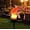 RED, variant on Jacenvly Christmas Lights Indoor Solar Parrot Inserting Ground Light Resin Crafts Garden Placement Light Christmas Decorations