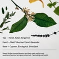 thumbnail image 4 of Desodorante Salt & Stone Natural Neroli y hoja de shiso 75 ml, 4 of 9