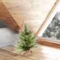thumbnail image 2 of Vickerman D191420 Pin Artificiel de 24 Po avec 77 Pointes, 2 of 3