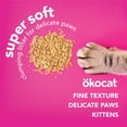 thumbnail image 4 of okocat Super Soft Clumping Natural Wood Cat Litter for Delicate Paws, 8.0lbs, 4 of 11